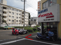 photo11.gif