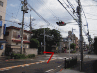 photo12.gif