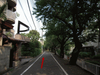 photo13.gif