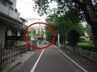 photo14.gif